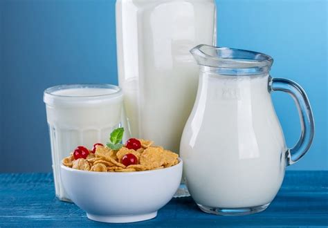 Jak často jíst mléčné výrobky?